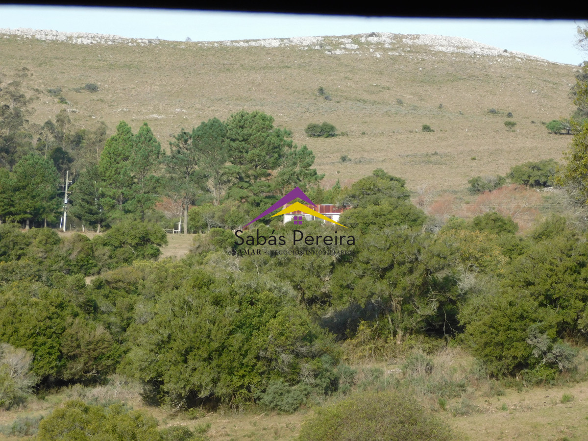 Chacra ID.41459 - Venta chacra con casa sobre ruta 60 de 20há, Lavalleja.