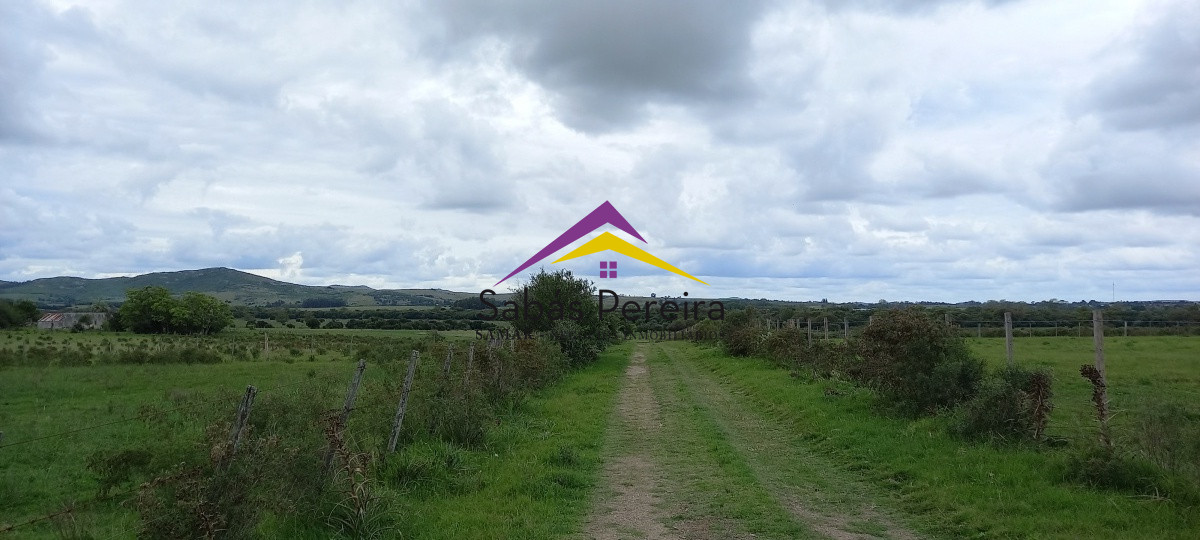 Chacra ID.41051 - Venta chacra de 10 hectáreas, Pan de Azúcar, Piriápolis, Maldonado