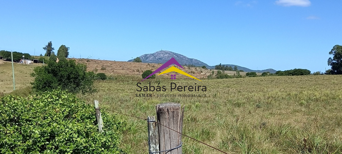 Pan de Azucar - GoPunta - Portal Inmobiliario de Punta del Este - Maldonado