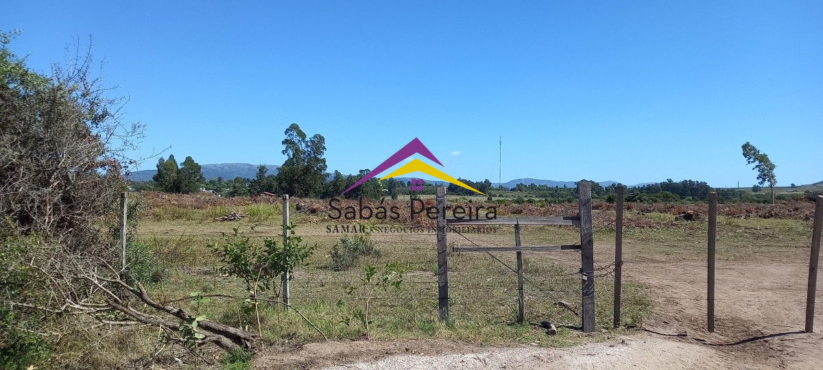 Chacra ID.41230 - Venta Chacra 18ha con casa sobre ruta 9, Pan de Azúcar, Maldonado
