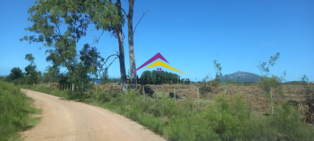 Chacra ID.41230 - Venta Chacra 18ha con casa sobre ruta 9, Pan de Azúcar, Maldonado