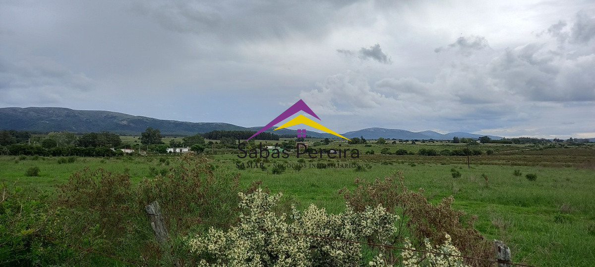 Chacra ID.41051 - Venta chacra de 10 hectáreas, Pan de Azúcar, Piriápolis, Maldonado
