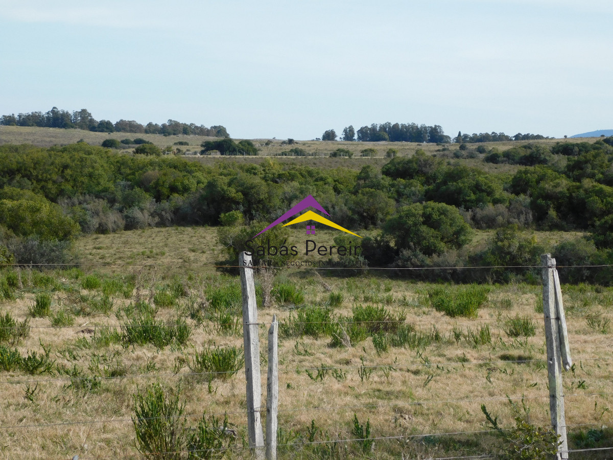 Chacra ID.41458 - Venta chacra 40há, Pan de Azucar, Maldonado