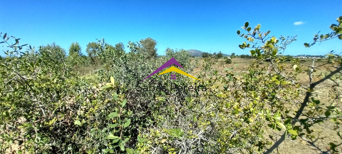Chacra ID.41230 - Venta Chacra 18ha con casa sobre ruta 9, Pan de Azúcar, Maldonado