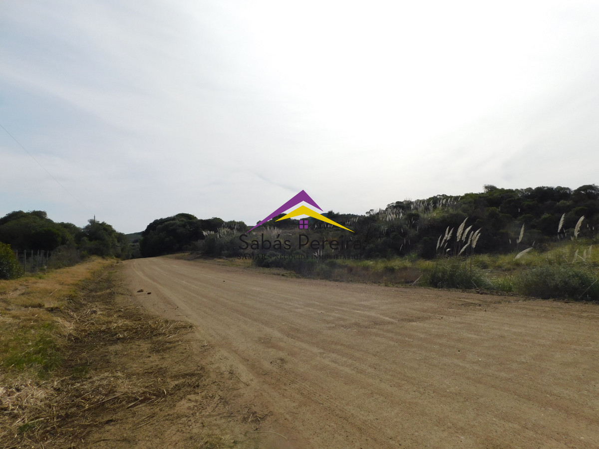 Chacra ID.41458 - Venta chacra 40há, Pan de Azucar, Maldonado