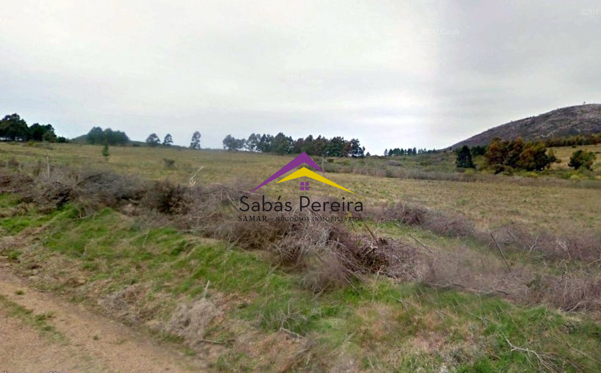 Zona Rural - GoPunta - Portal Inmobiliario de Punta del Este - Maldonado