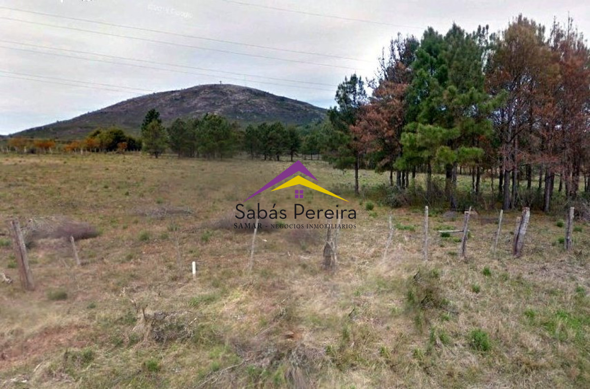 Zona Rural - GoPunta - Portal Inmobiliario de Punta del Este - Maldonado