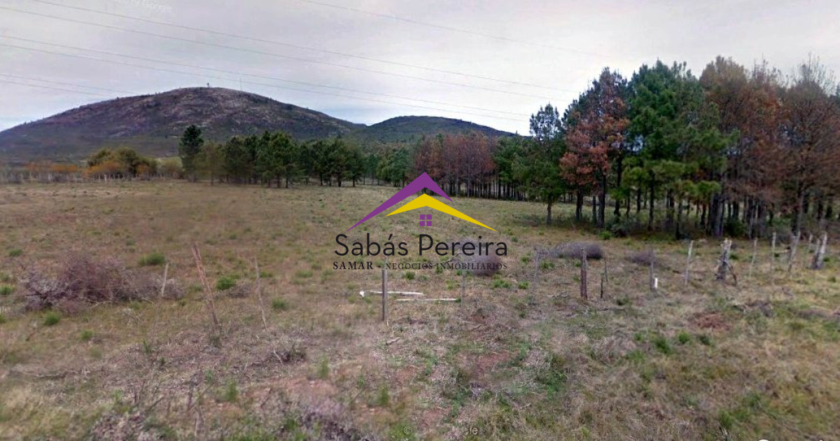 Zona Rural - GoPunta - Portal Inmobiliario de Punta del Este - Maldonado