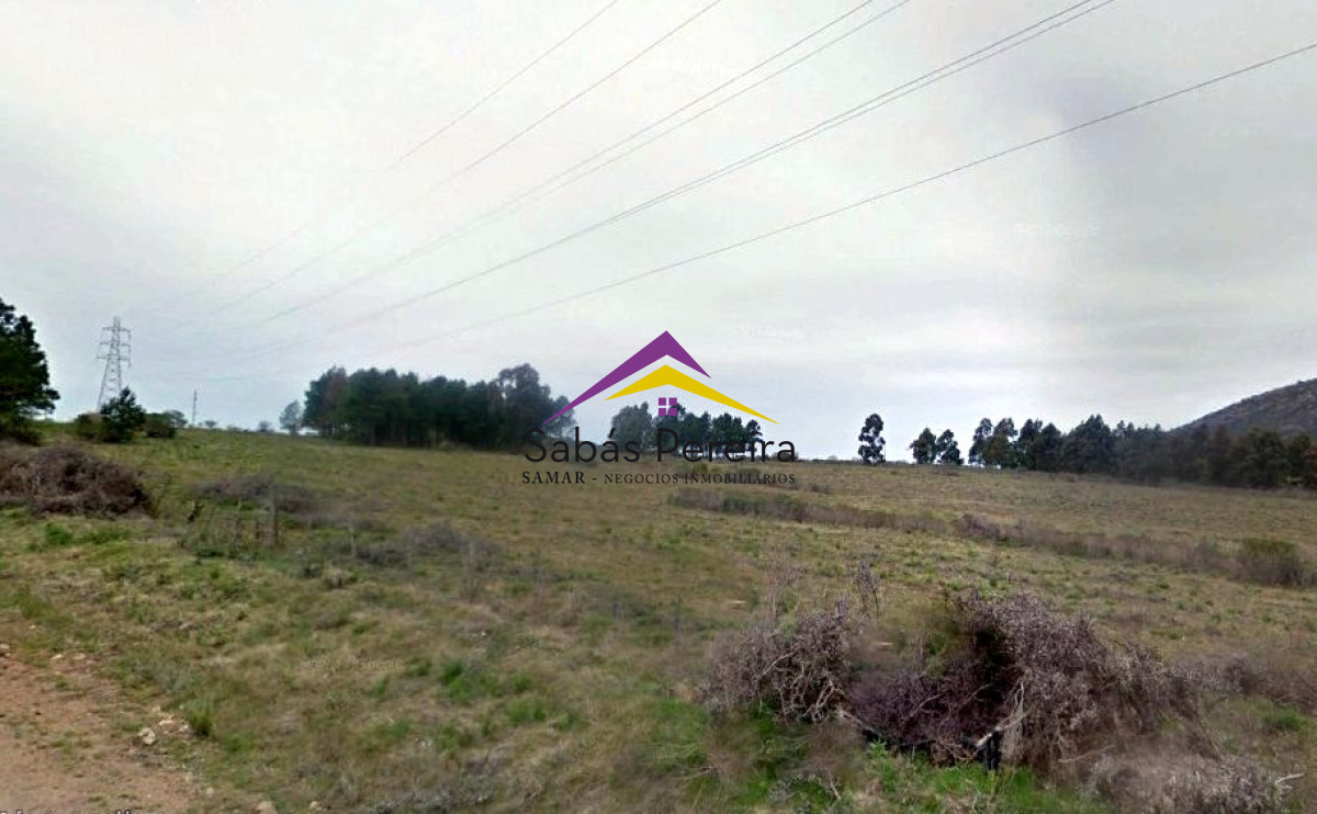 Zona Rural - GoPunta - Portal Inmobiliario de Punta del Este - Maldonado