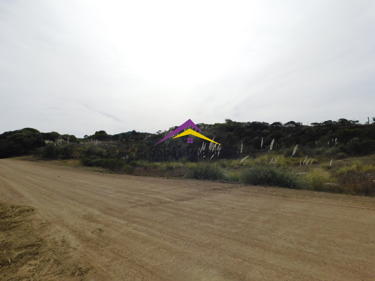 Chacra ID.41458 - Venta chacra 40há, Pan de Azucar, Maldonado