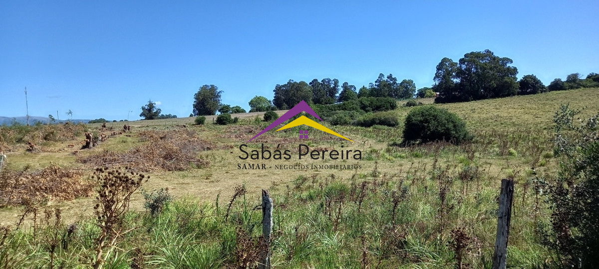 Chacra ID.41230 - Venta Chacra 18ha con casa sobre ruta 9, Pan de Azúcar, Maldonado
