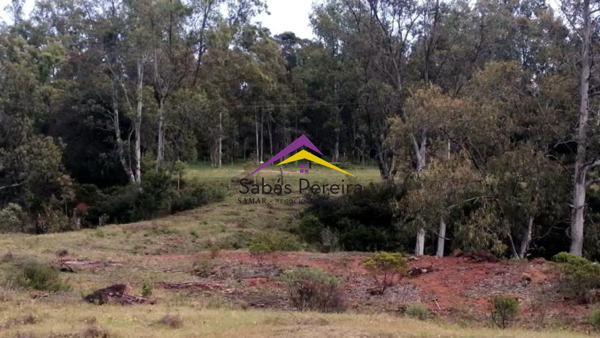 Chacra ID.40852 - Venta chacra Ruta 37 con construcción Pan de Azúcar, Maldonado