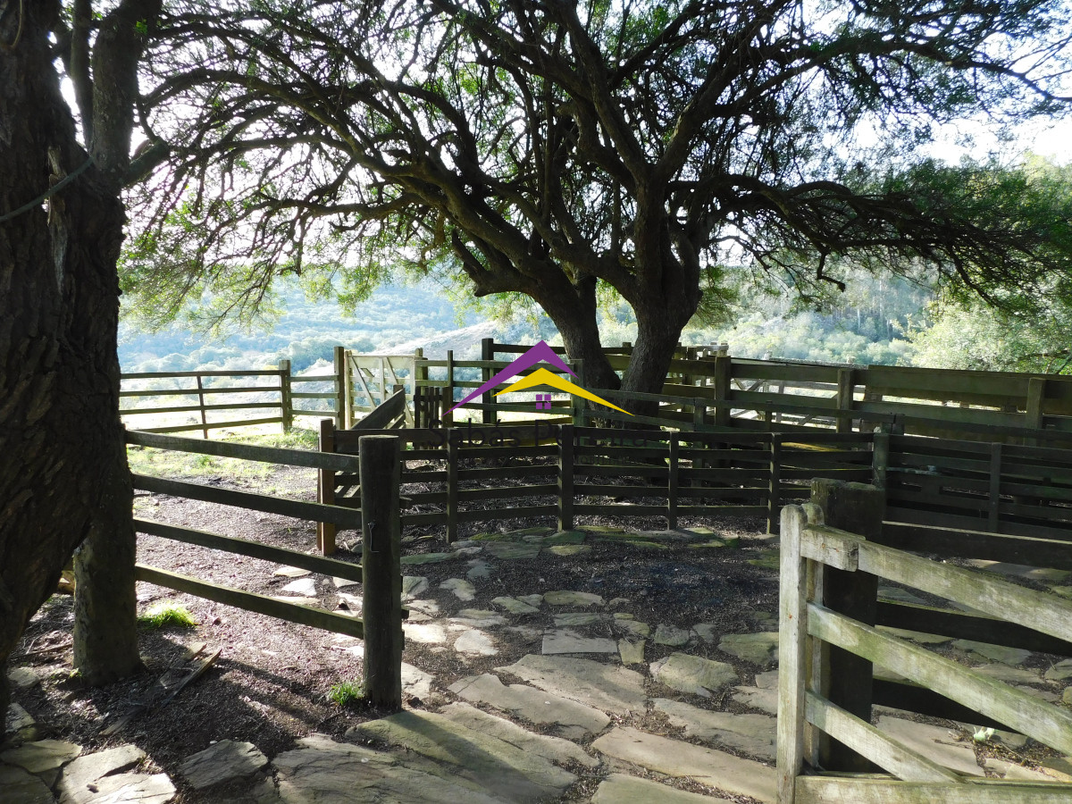 Chacra ID.41459 - Venta chacra con casa sobre ruta 60 de 20há, Lavalleja.