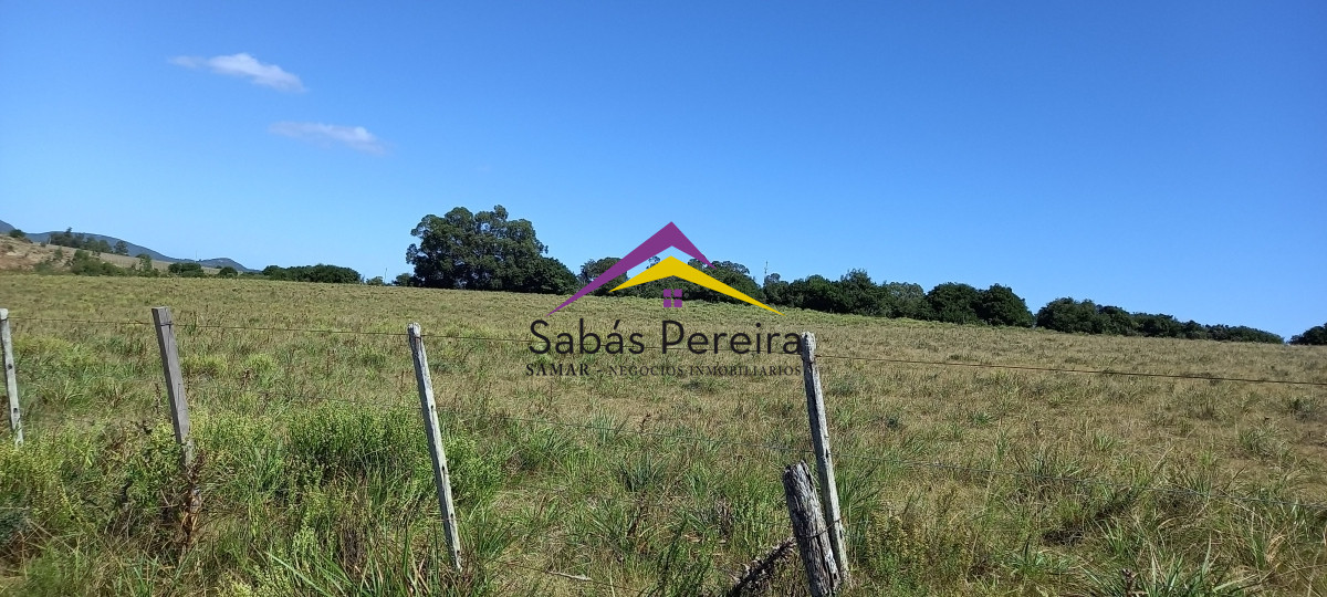 Chacra ID.41230 - Venta Chacra 18ha con casa sobre ruta 9, Pan de Azúcar, Maldonado