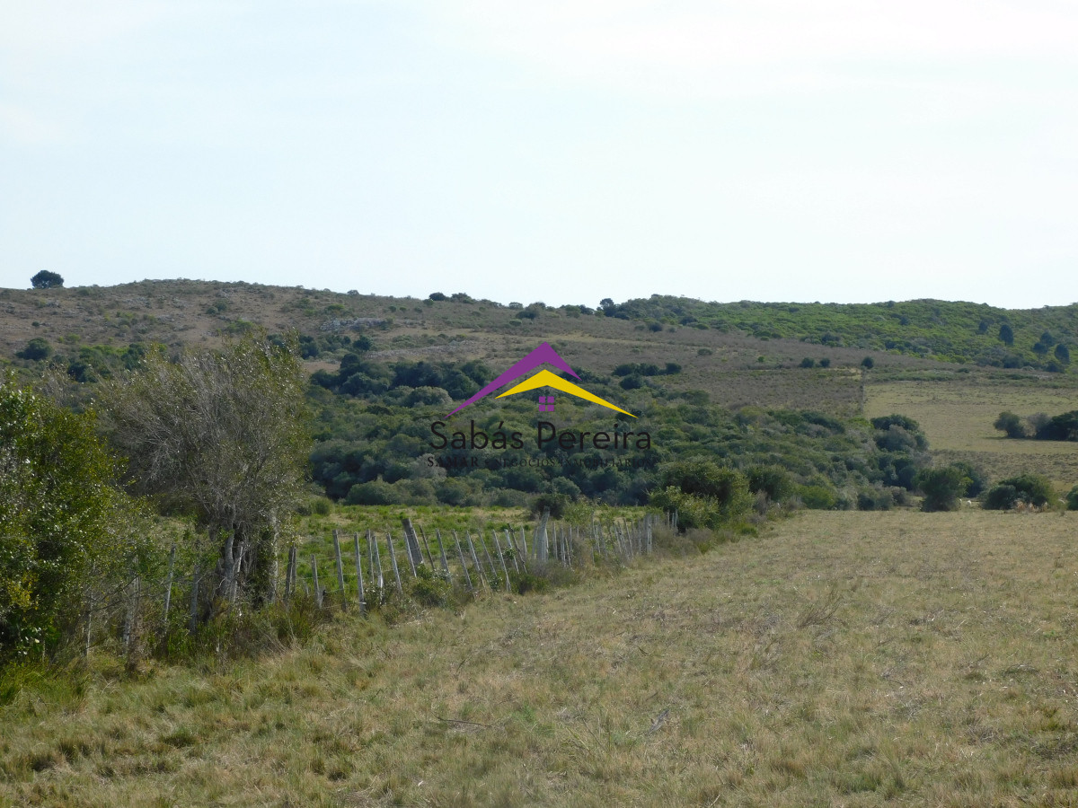 Chacra ID.41458 - Venta chacra 40há, Pan de Azucar, Maldonado