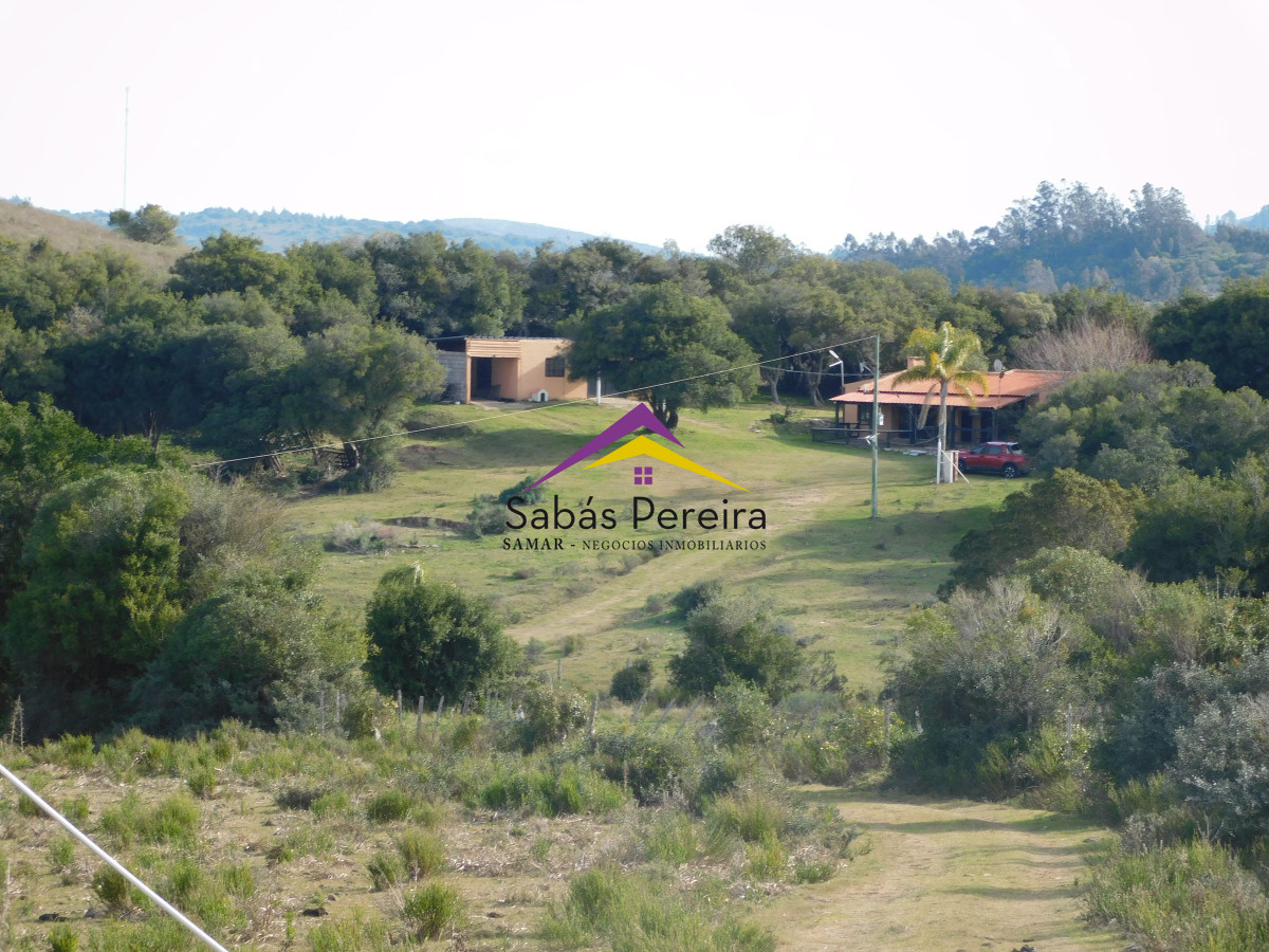 Chacra ID.41459 - Venta chacra con casa sobre ruta 60 de 20há, Lavalleja.