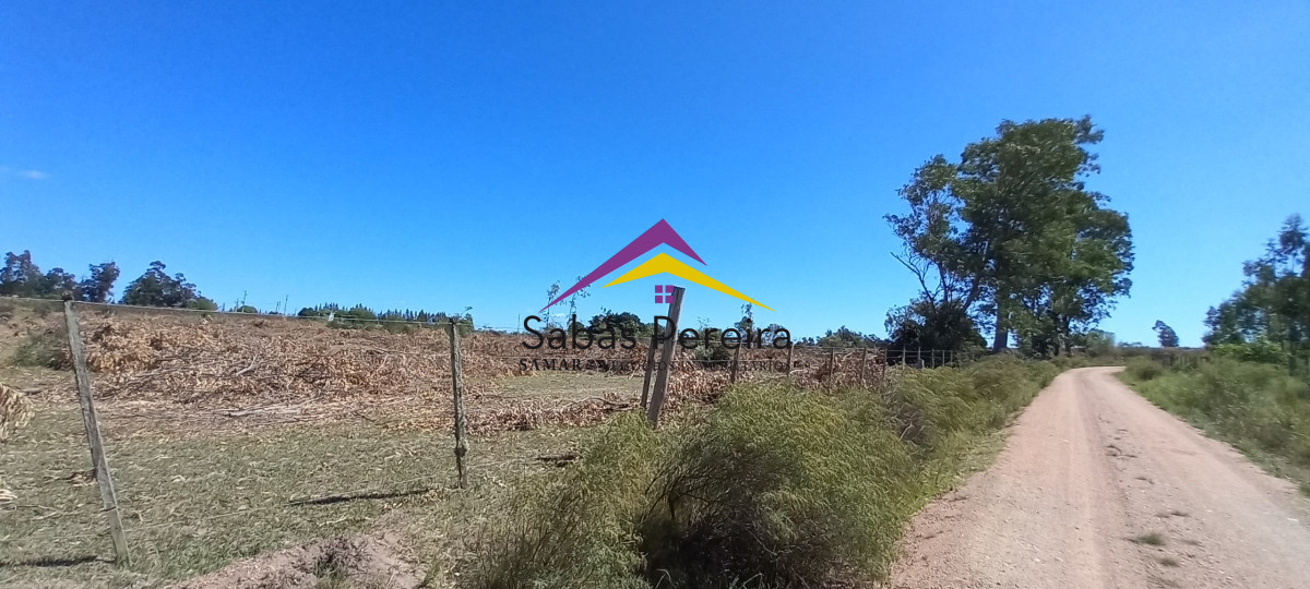 Chacra ID.41230 - Venta Chacra 18ha con casa sobre ruta 9, Pan de Azúcar, Maldonado