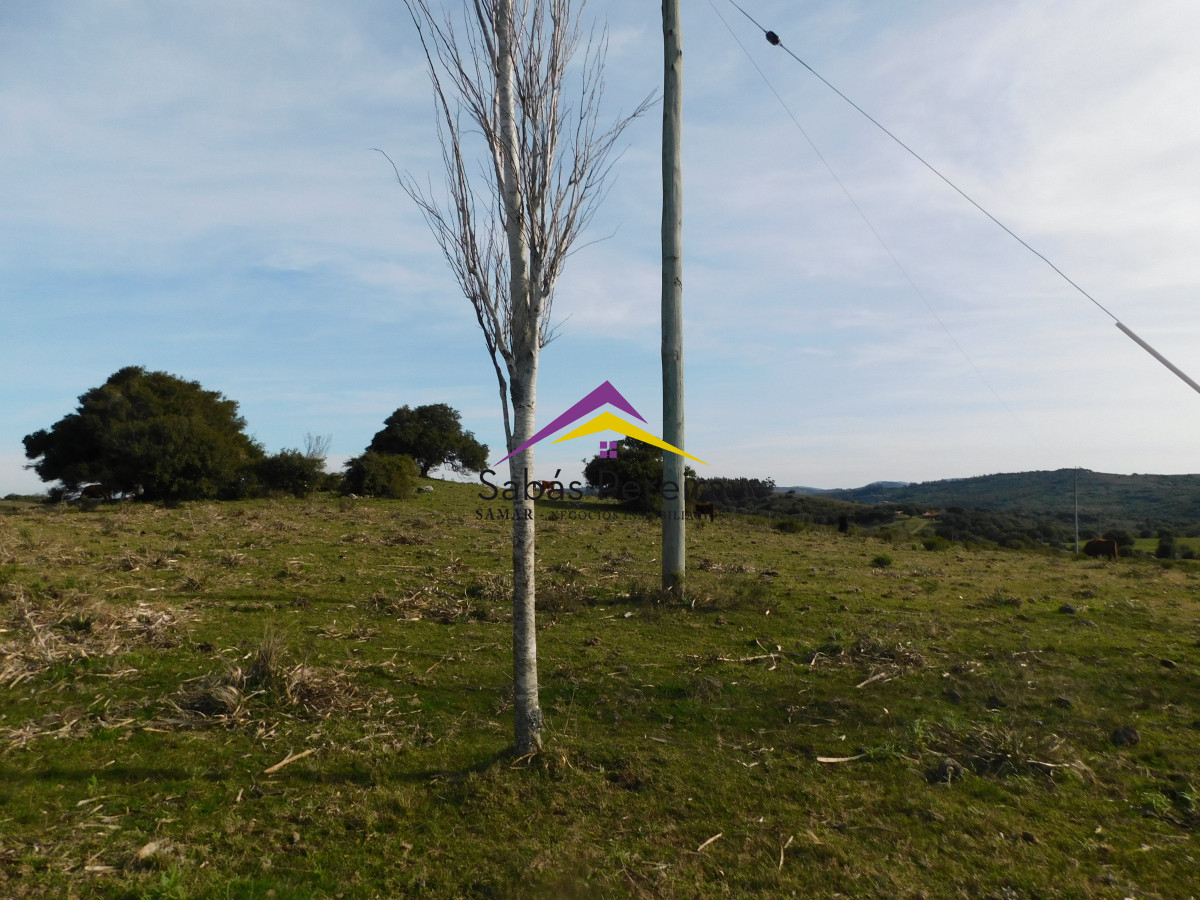 Zona Rural - GoPunta - Portal Inmobiliario de Punta del Este - Maldonado