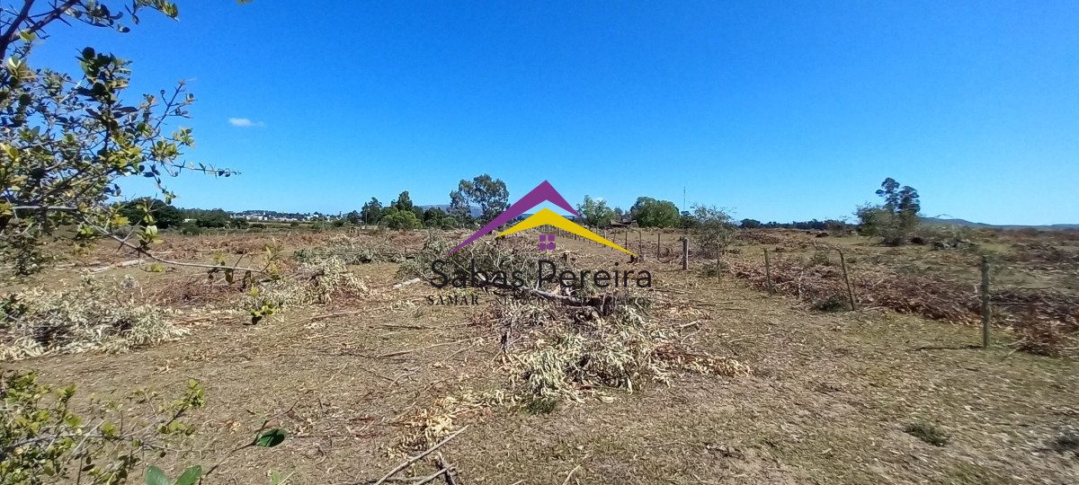Chacra ID.41230 - Venta Chacra 18ha con casa sobre ruta 9, Pan de Azúcar, Maldonado