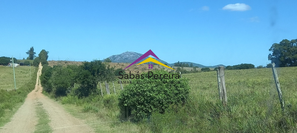 Pan de Azucar - GoPunta - Portal Inmobiliario de Punta del Este - Maldonado
