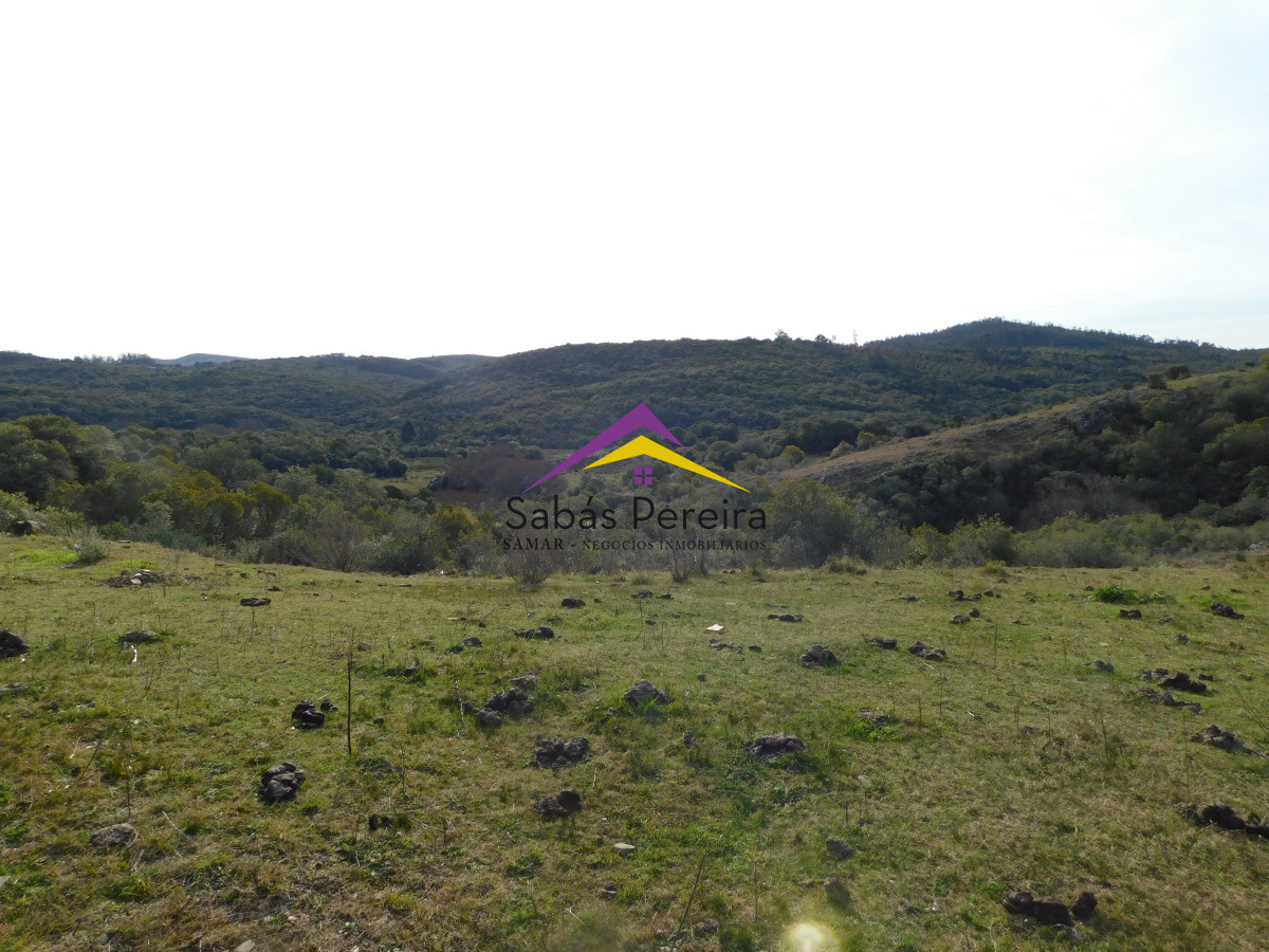 Chacra ID.41459 - Venta chacra con casa sobre ruta 60 de 20há, Lavalleja.