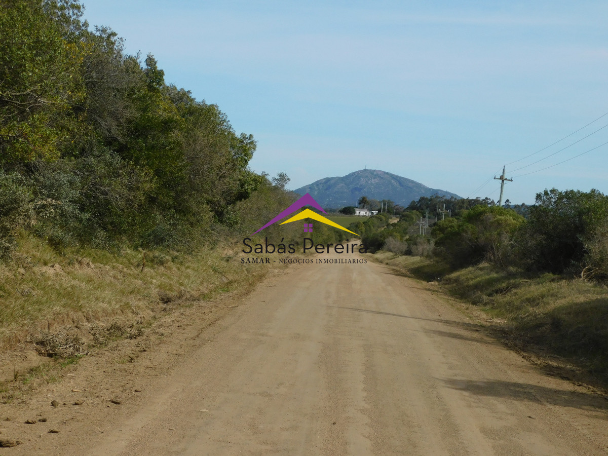 Chacra ID.41458 - Venta chacra 40há, Pan de Azucar, Maldonado