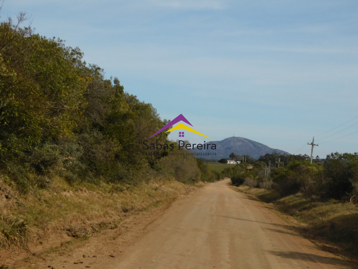 Chacra ID.41458 - Venta chacra 40há, Pan de Azucar, Maldonado