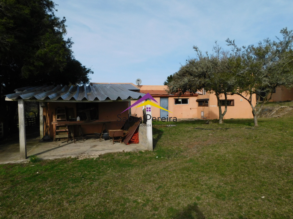 Chacra ID.41459 - Venta chacra con casa sobre ruta 60 de 20há, Lavalleja.