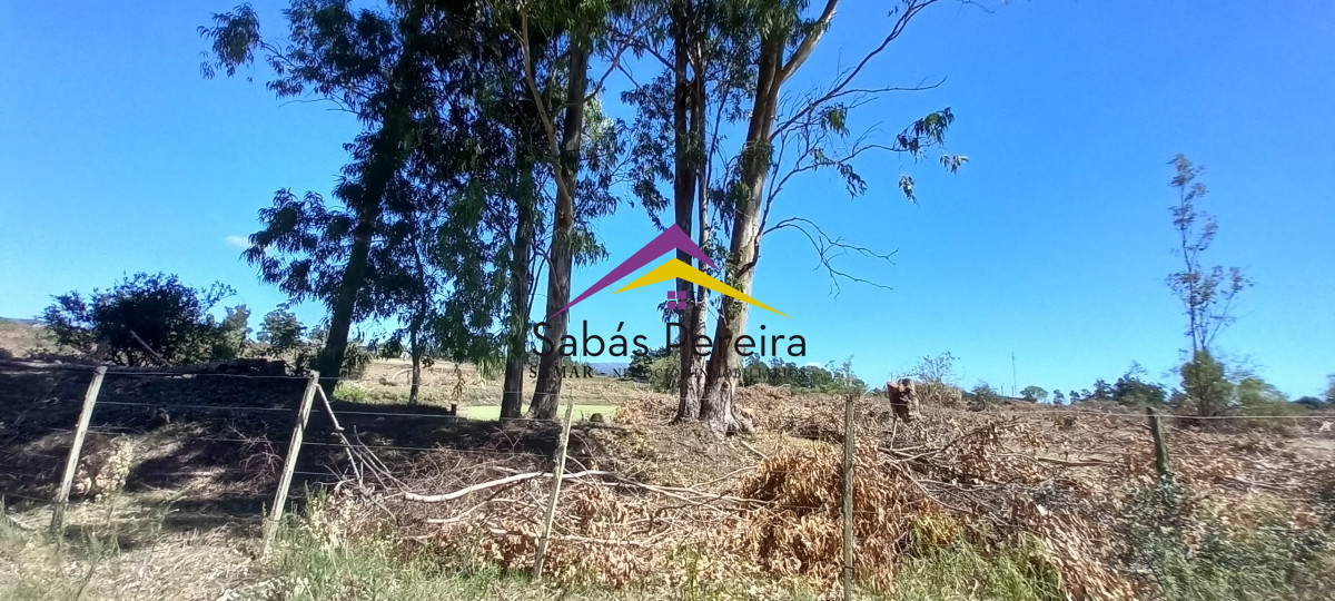 Chacra ID.41230 - Venta Chacra 18ha con casa sobre ruta 9, Pan de Azúcar, Maldonado