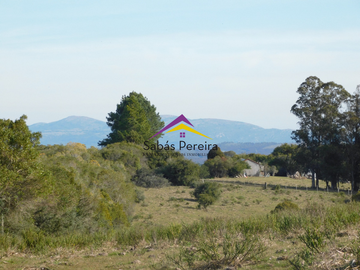 Zona Rural - GoPunta - Portal Inmobiliario de Punta del Este - Maldonado