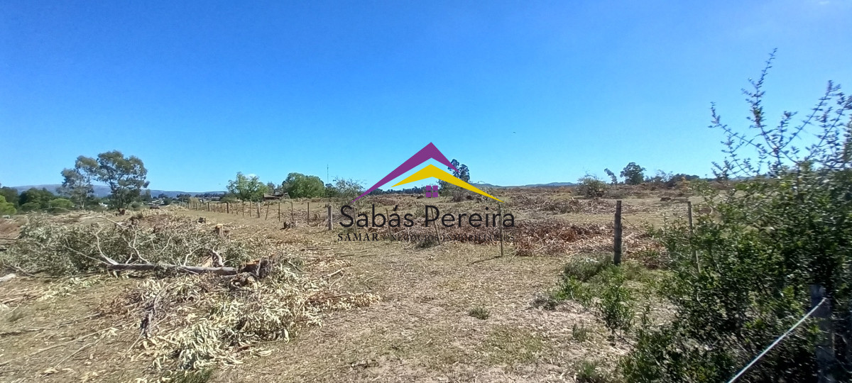 Chacra ID.41230 - Venta Chacra 18ha con casa sobre ruta 9, Pan de Azúcar, Maldonado