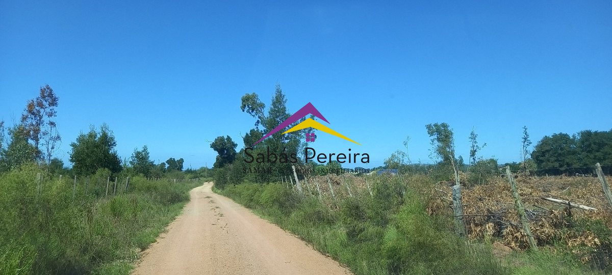 Chacra ID.41230 - Venta Chacra 18ha con casa sobre ruta 9, Pan de Azúcar, Maldonado