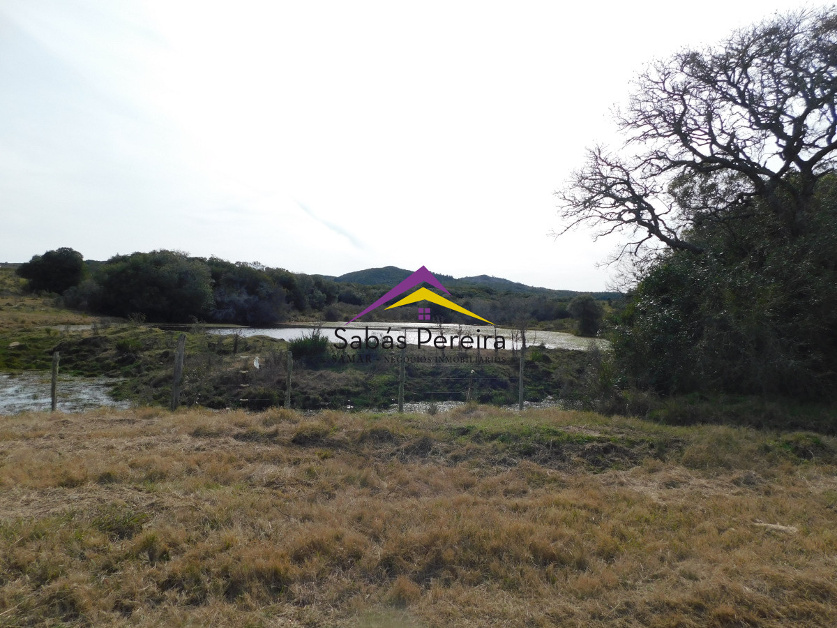 Chacra ID.41458 - Venta chacra 40há, Pan de Azucar, Maldonado