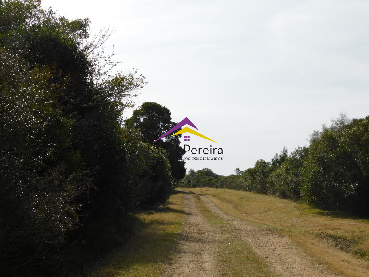 Pan de Azucar - GoPunta - Portal Inmobiliario de Punta del Este - Maldonado