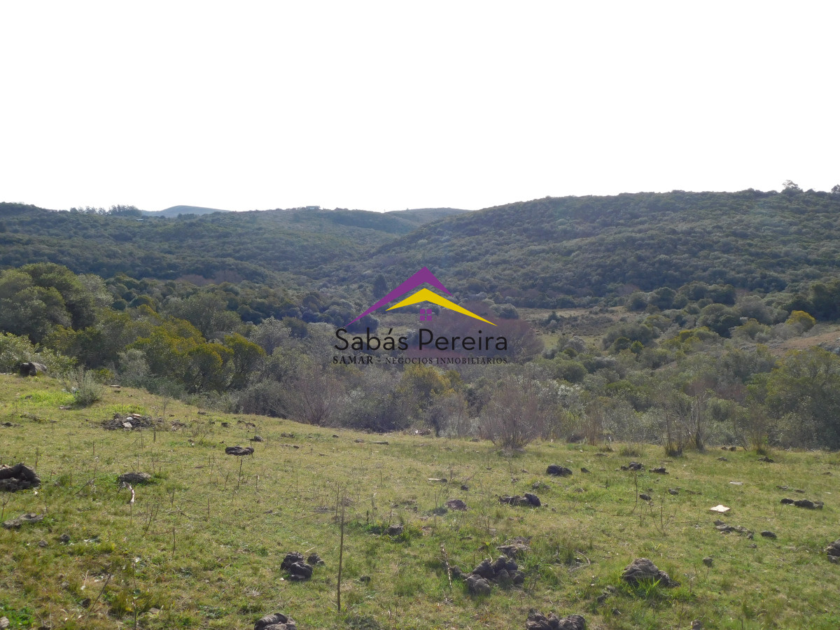 Chacra ID.41459 - Venta chacra con casa sobre ruta 60 de 20há, Lavalleja.