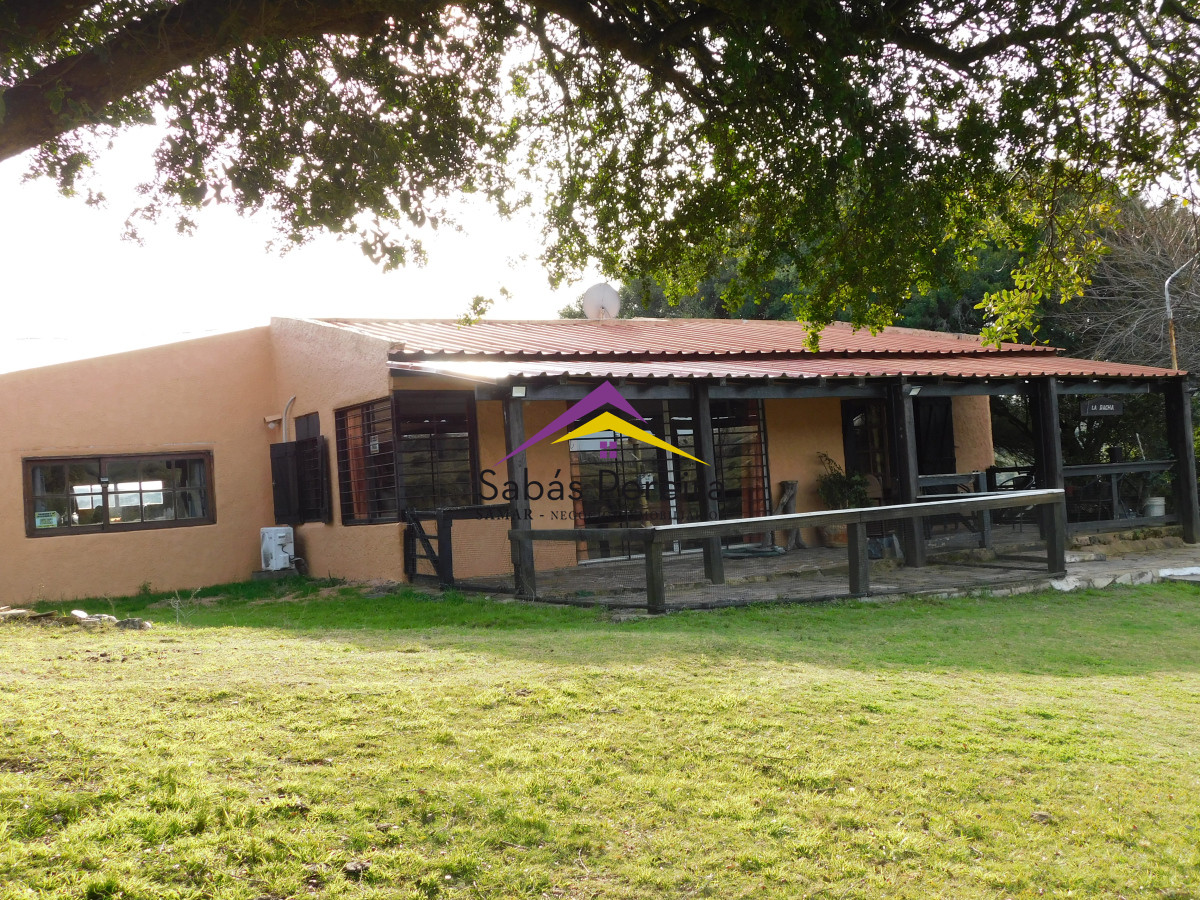 Chacra ID.41459 - Venta chacra con casa sobre ruta 60 de 20há, Lavalleja.