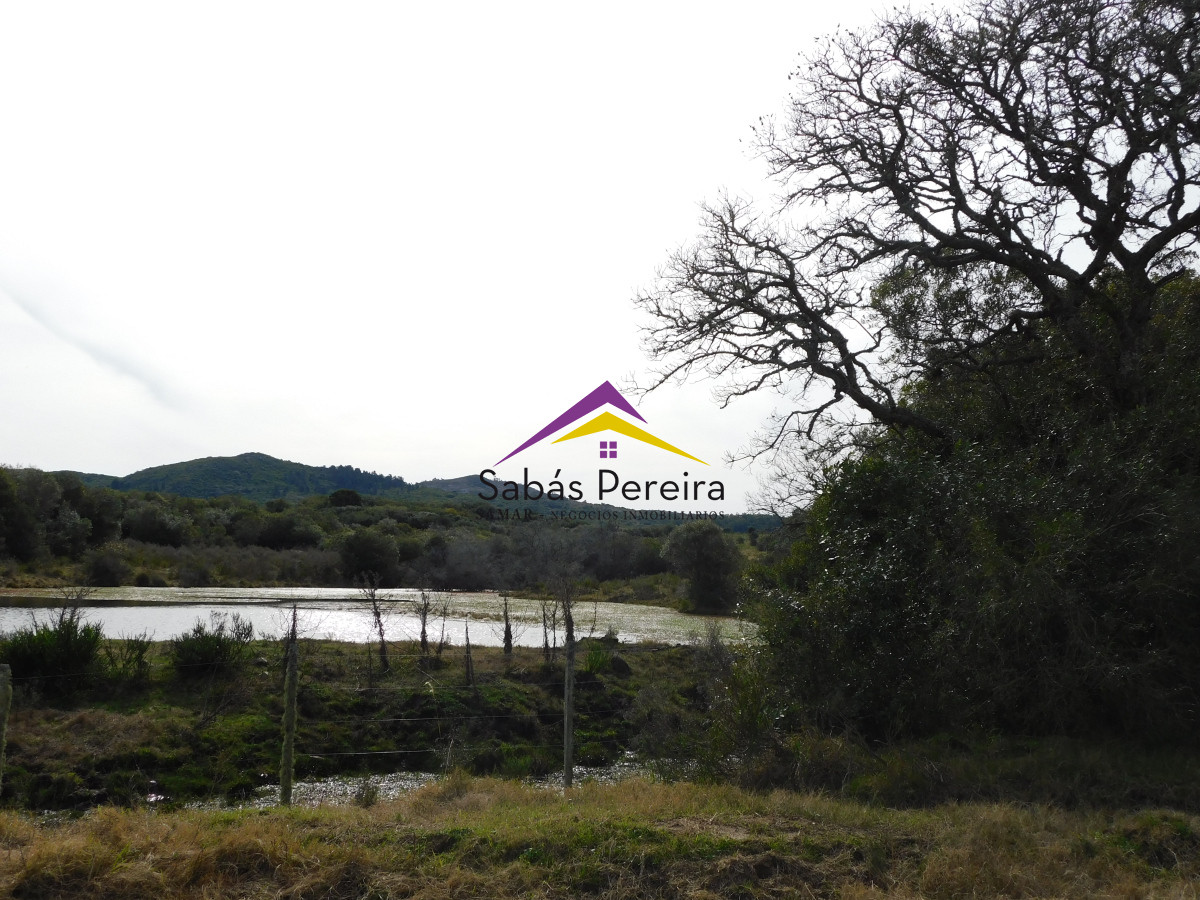 Chacra ID.41458 - Venta chacra 40há, Pan de Azucar, Maldonado