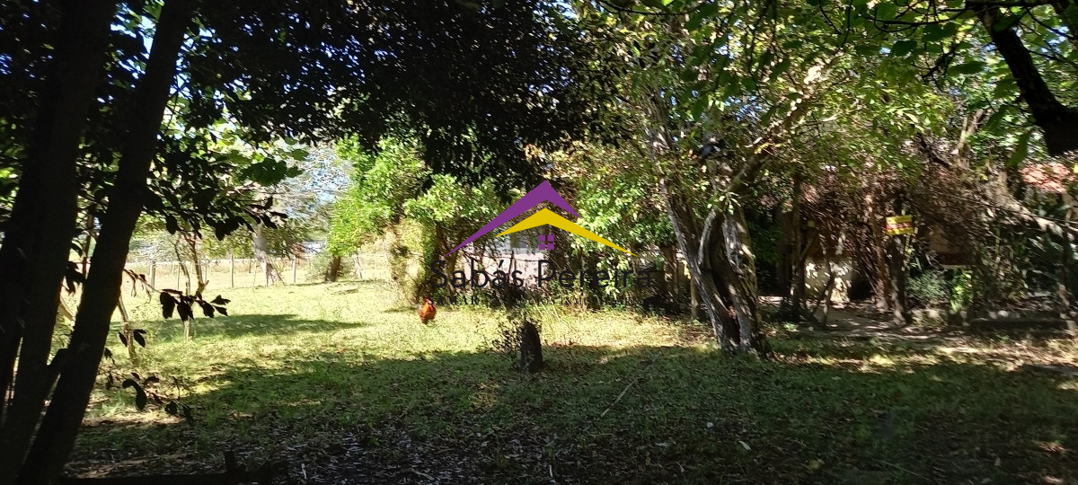 Chacra ID.41230 - Venta Chacra 18ha con casa sobre ruta 9, Pan de Azúcar, Maldonado
