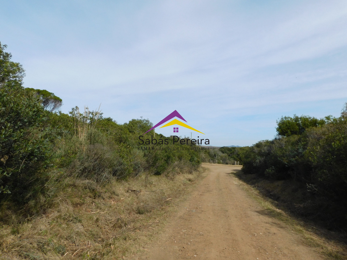 Chacra ID.41458 - Venta chacra 40há, Pan de Azucar, Maldonado
