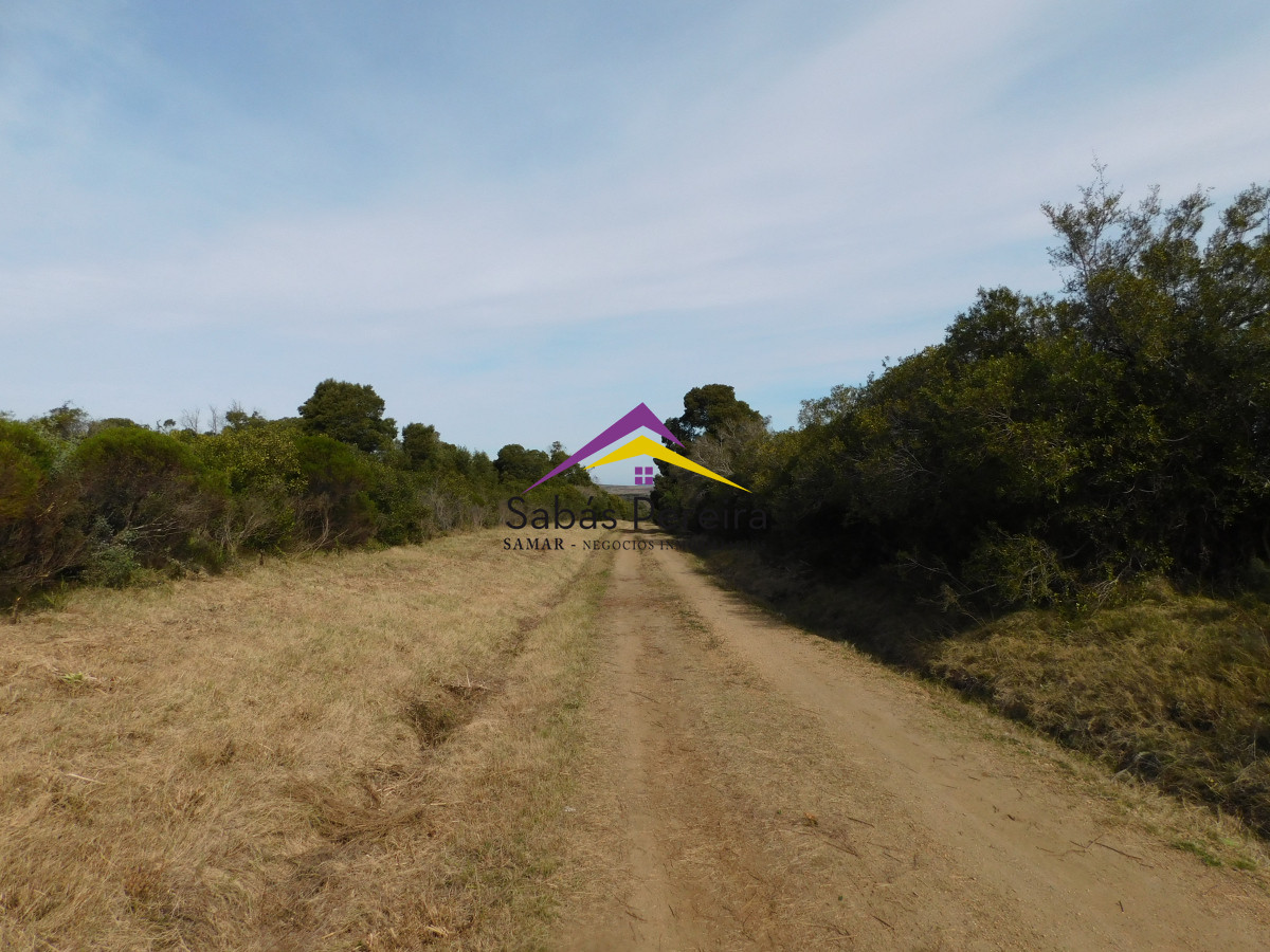 Chacra ID.41458 - Venta chacra 40há, Pan de Azucar, Maldonado