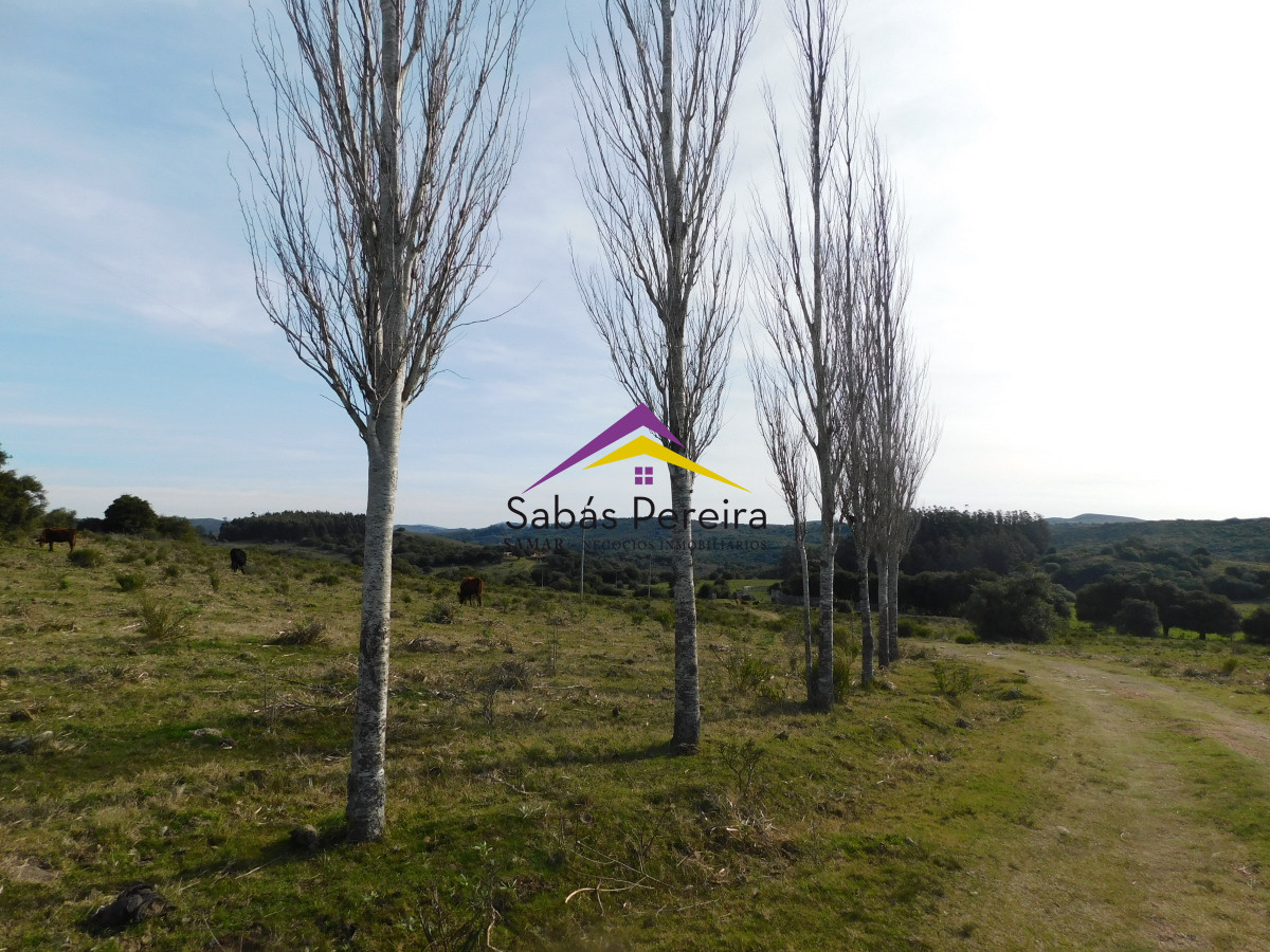 Zona Rural - GoPunta - Portal Inmobiliario de Punta del Este - Maldonado