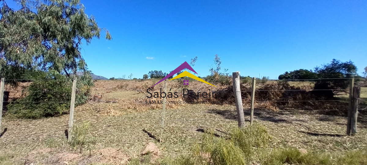 Chacra ID.41230 - Venta Chacra 18ha con casa sobre ruta 9, Pan de Azúcar, Maldonado
