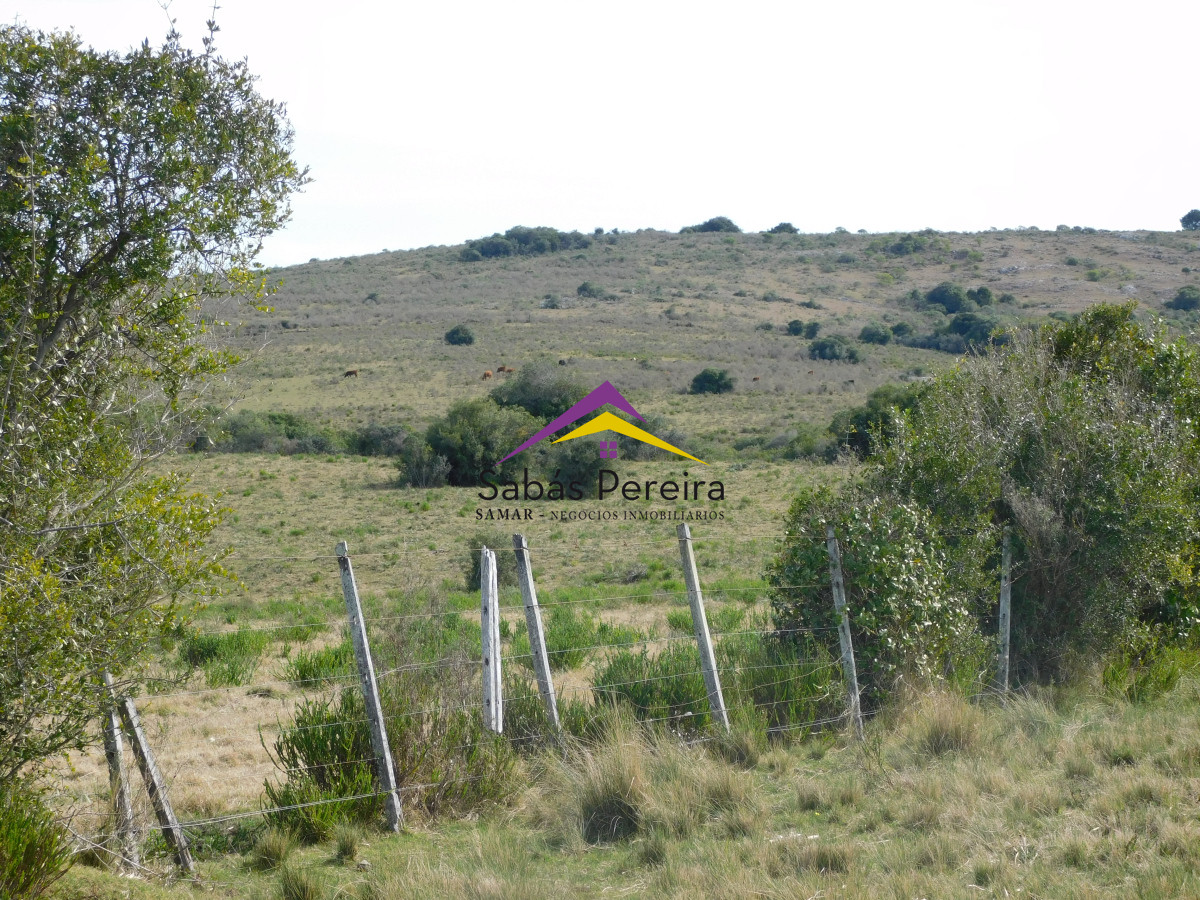 Chacra ID.41458 - Venta chacra 40há, Pan de Azucar, Maldonado