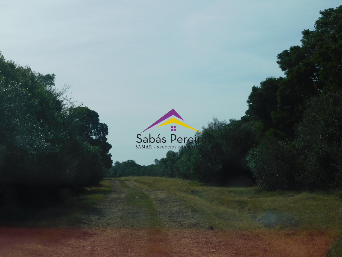 Pan de Azucar - GoPunta - Portal Inmobiliario de Punta del Este - Maldonado