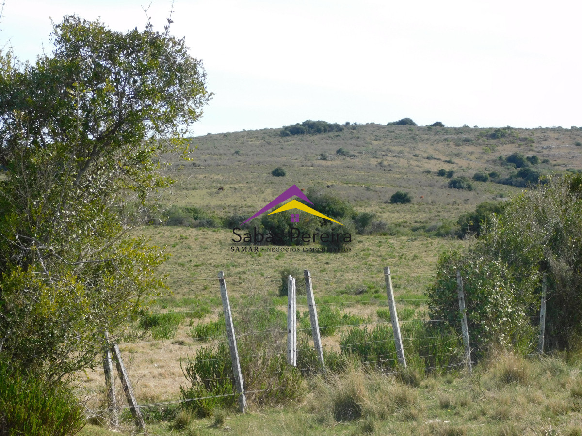 Chacra ID.41458 - Venta chacra 40há, Pan de Azucar, Maldonado
