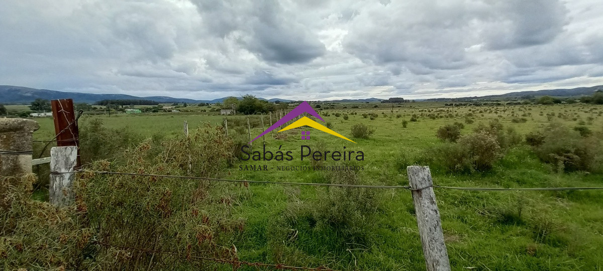 Zona Rural - GoPunta - Portal Inmobiliario de Punta del Este - Maldonado