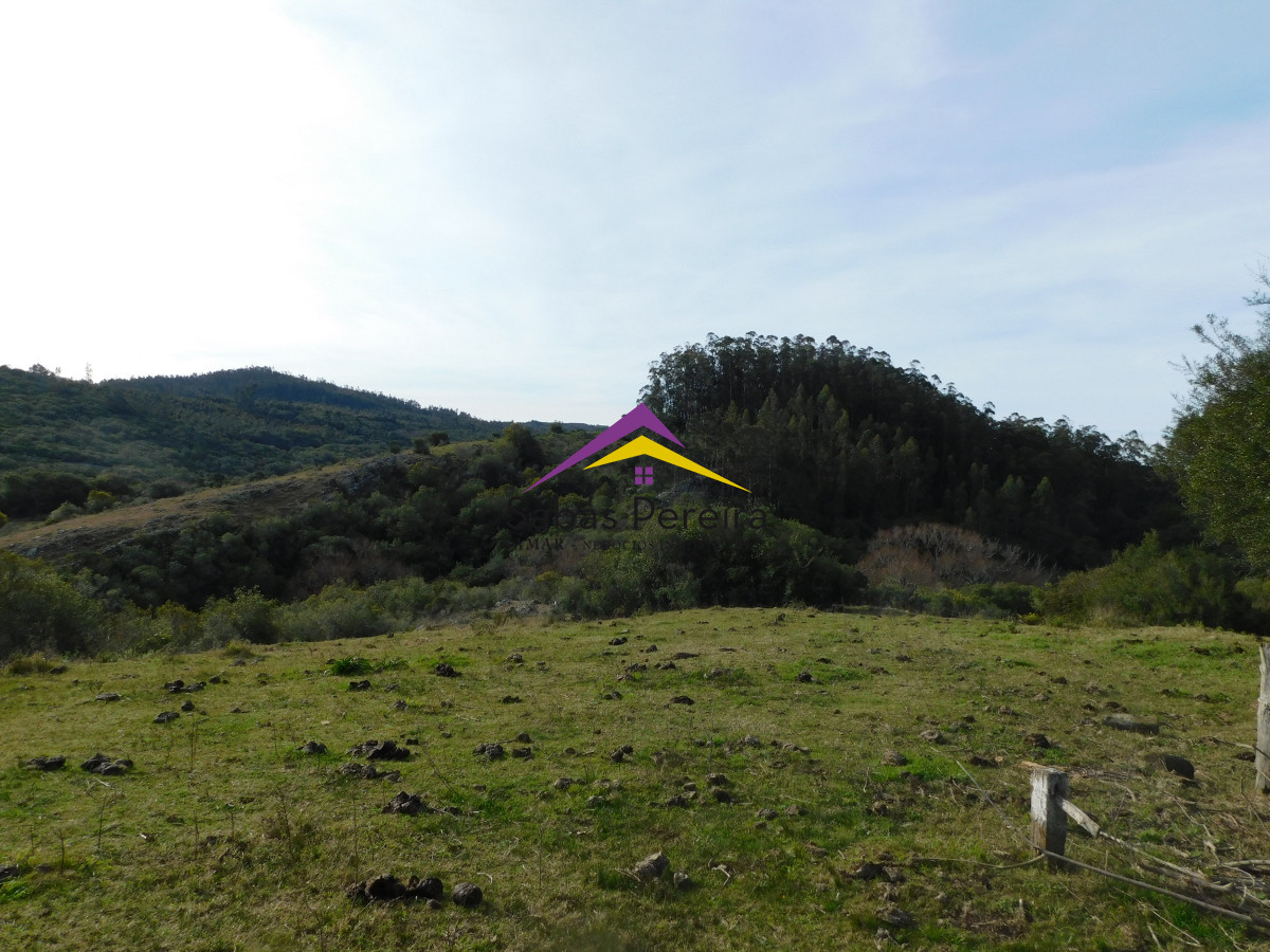 Chacra ID.41459 - Venta chacra con casa sobre ruta 60 de 20há, Lavalleja.