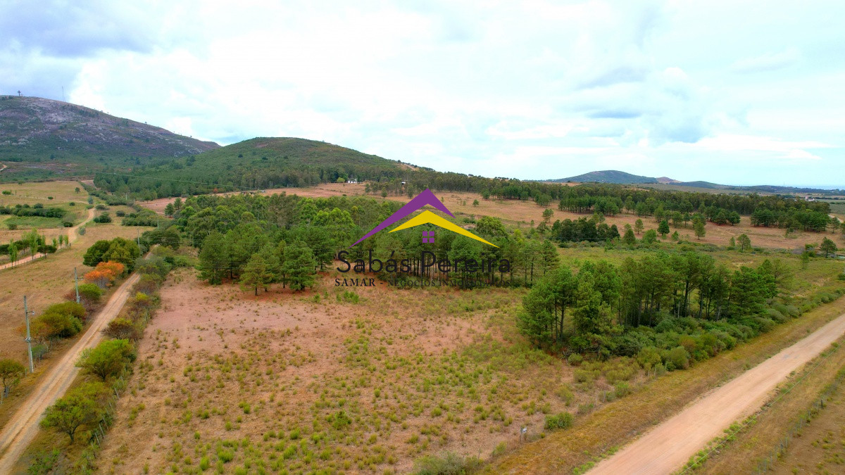 Chacra ID.40987 - Venta Chacra  7há, Piriápolis, Maldonado