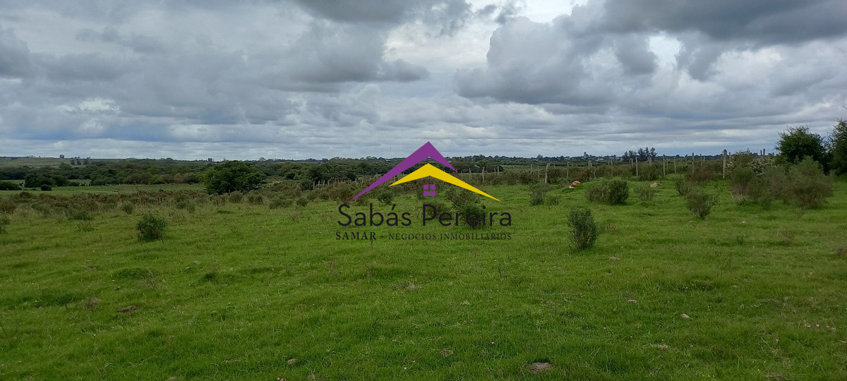 Chacra ID.41051 - Venta chacra de 10 hectáreas, Pan de Azúcar, Piriápolis, Maldonado