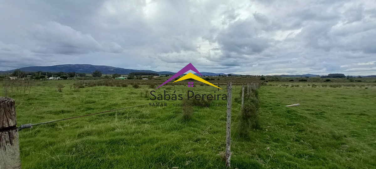 Chacra ID.41051 - Venta chacra de 10 hectáreas, Pan de Azúcar, Piriápolis, Maldonado